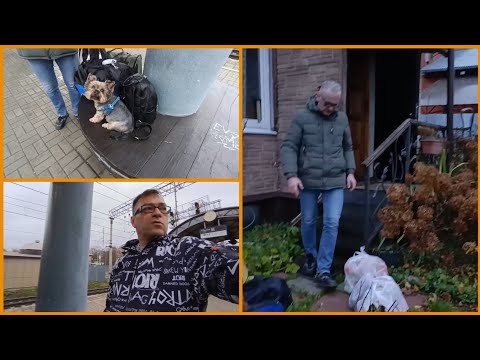 Видео: Цыгане выехали 😂Закупились под завязку