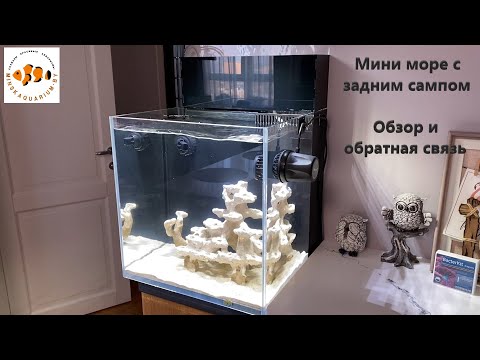 Видео: Морской аквариум с задним сампом 35 литров. Ширма для сампа.