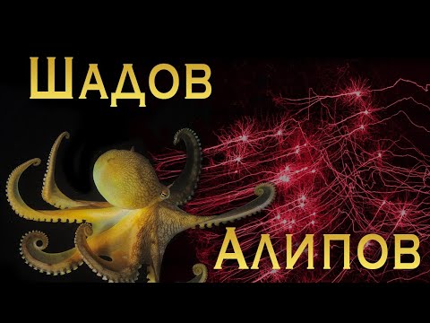 Видео: Шадов и философия воображения