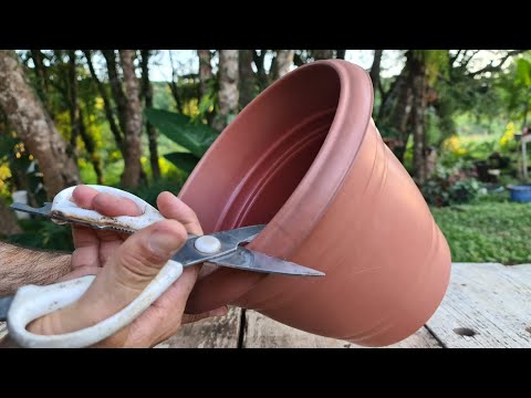 Видео: Пластическая ваза превращается в расположение суккулентов с проволокой и сухими ветвями