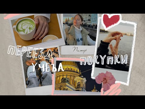 Видео: влог/переезд/учеба в универе/покупки для интерьера