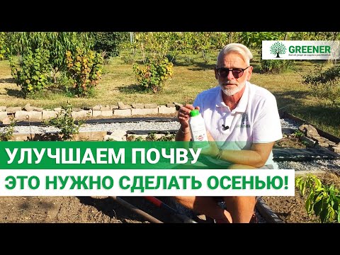 Видео: Как сделать почву плодородной? САМЫЕ ЭФФЕКТИВНИЕ СПОСОБЫ!