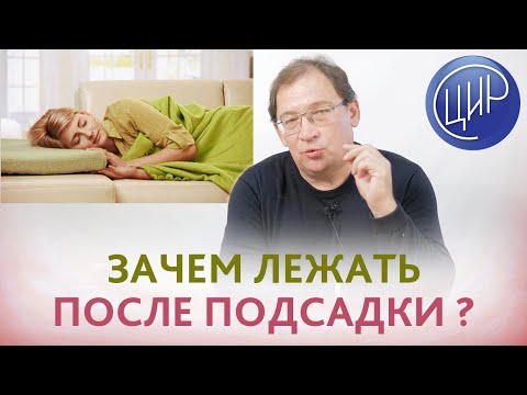 Видео: Что делать после подсадки эмбриона? Надо ли лежать после подсадки?