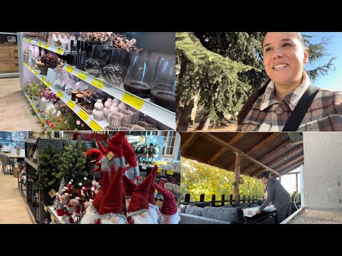 Видео: Ежедневен влог, пазаруване и уют