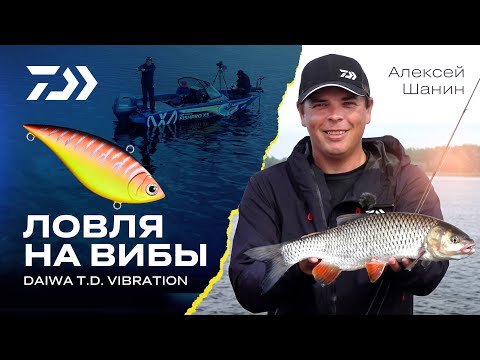 Видео: ЛОВЛЯ НА ВИБЫ / T.D. VIBRATION / Алексей Шанин