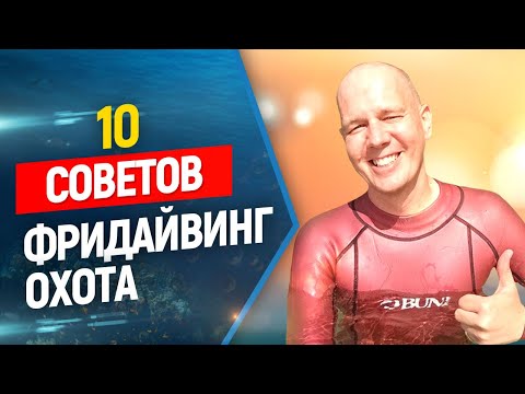 Видео: 🔥10 полезных советов начинающим подводным охотникам и фридайверам!