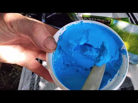 Видео: Азофос и Азофосочка, Доктор Робик и ЗБ