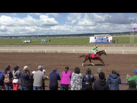 Видео: Алтаргана-2018. Скачка лошадей 3х лет и старше. 2400м.