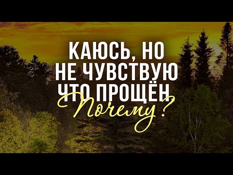 Видео: Каюсь, но не чувствую что прощён. Почему? (Андрей Резуненко)