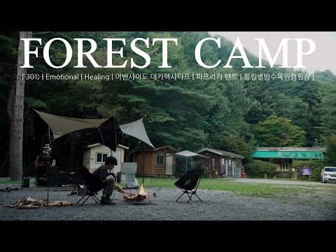 Видео: | Наслаждаюсь летом в переполненных фитонцидами лесах и долинах исцеления |