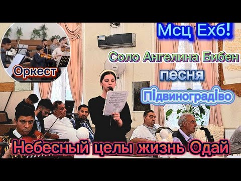 Видео: Песня «Небесной цели жизнь отдай»