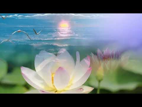 Видео: ЛЮБЛЮ💕Наталия Аникеева. 