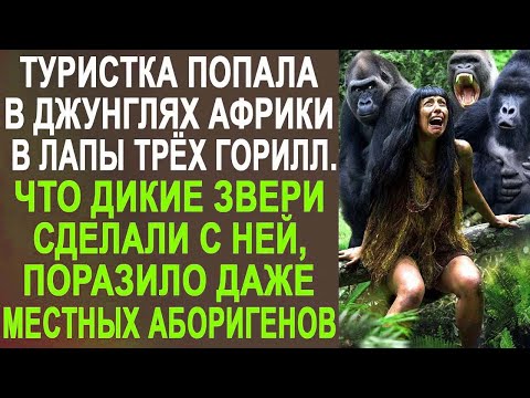 Видео: Туристка попала в лапы трёх горилл в джунглях. Что они с ней сделали, поразило даже аборигенов...
