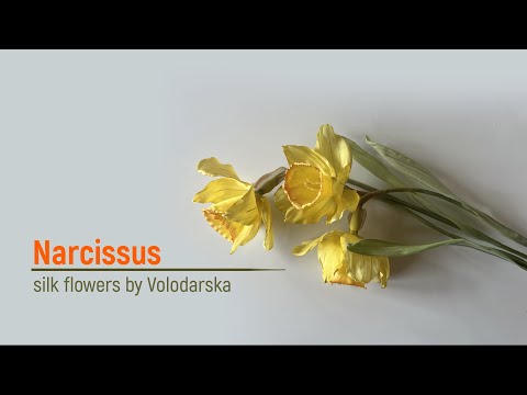 Видео: Нарцисс из шелка