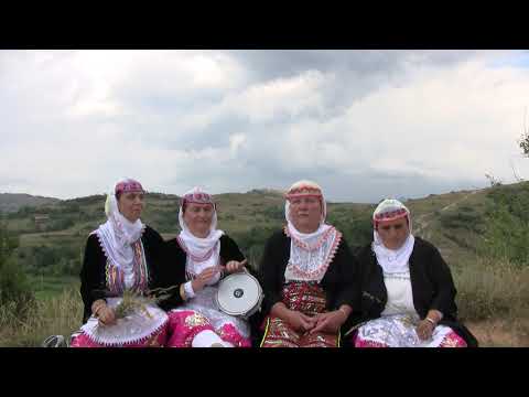 Видео: Какво е ново мори станало - с.Брезница