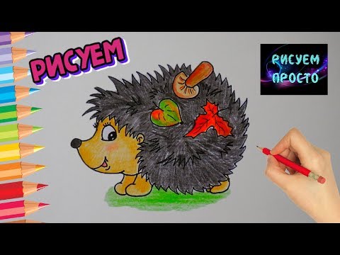 Видео: Как ПРОСТО нарисовать ЕЖИКА, осенние рисунки в школу/523/How TO simply draw a HEDGEHOG