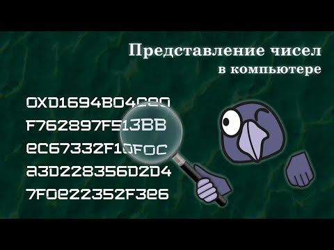 Видео: Как представлены числа в компьютере? | Uint, int, float, IEEE 754, single, double, two's complement