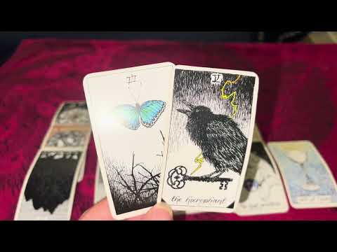 Видео: Дева: Они намерены молчать, но не хотят сожалеть о потере? Пожалуйста, объясните это! 👀