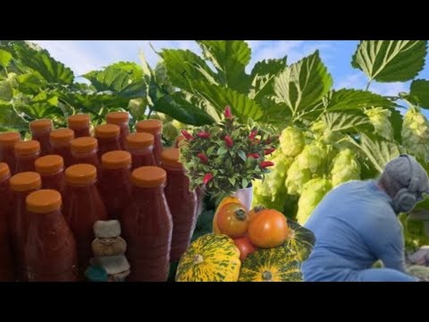 Видео: ОДНИМ ДНЁМ В ДЕРЕВНЕ/РАБОТА БРАТА И ЕГО ЗОЛОТЫЕ РУКИ/БУДНИ В ГОРОДЕ.