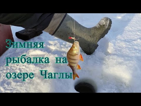 Видео: Зимняя рыбалка на озере Чаглы. Северный Казахстан.