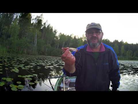 Видео: Рыбалка на  Воблер Strike Pro Cuban Popper