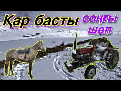 Видео: Көктем келуде, Шаруашылыққа шолу.