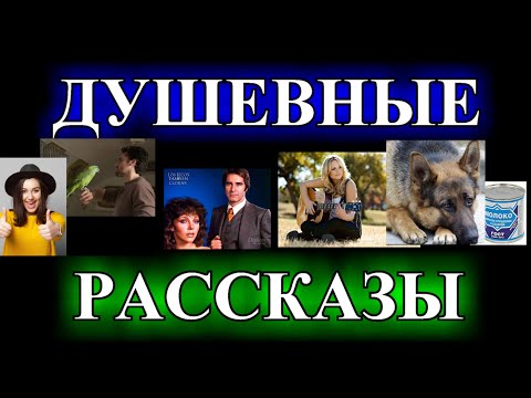 Видео: ДУШЕВНЫЕ  РАССКАЗЫ❤️ПРИМИРЕНИЕ❤️ГОЛОС СТРУН❤️РЕАБИЛИТАЦИЯ❤️НАДОЕДЛИВЫЙ СОСЕД @TEFI РАССКАЗЫ