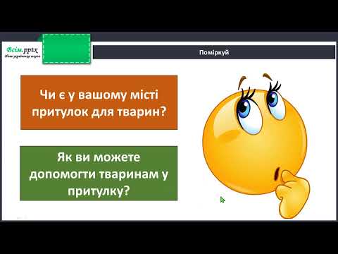Видео: Правила спілкування з домашніми улюбленцями і безпри­тульними тваринами