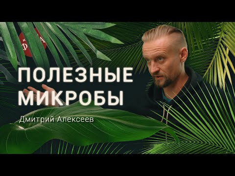 Видео: То, что происходит в кишечнике – влияет на наши мысли. Ученый Дмитрий Алексеев
