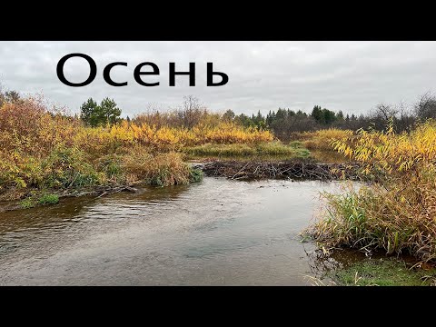 Видео: Забытые реки #19 Осень