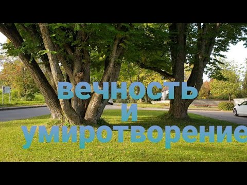 Видео: МОЯ ГЕРМАНИЯ ❤  НЕМЕЦКОЕ КЛАДБИЩЕ . УЮТ И ПОКОЙ