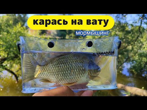 Видео: #мормышинг | Карась в корягах на вату | Gamakatsu Ten S48AL-solid |