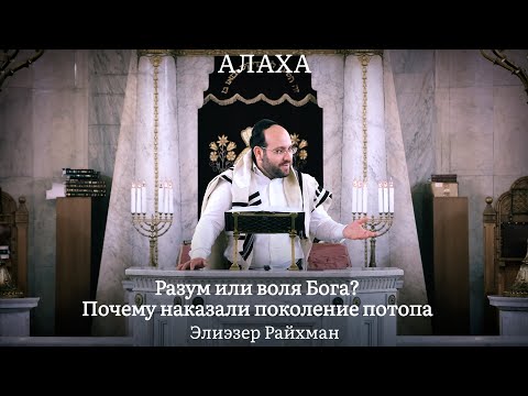 Видео: Разум или воля Бога? Диспут Хезкуни и р. Эльбо