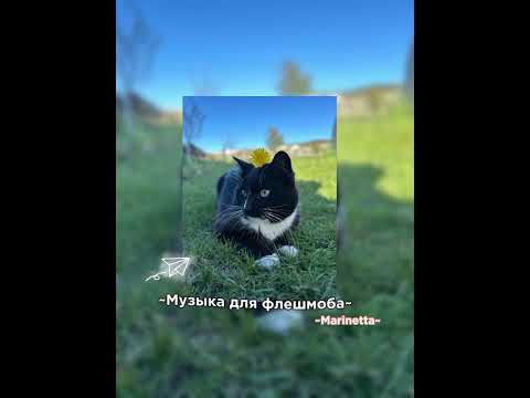 Видео: ~Музыка для флешмоба~