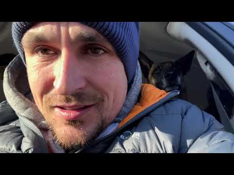 Видео: Розчарування власним псом