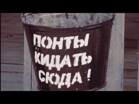Видео: Как заяц на суд ездил. Или не ездил.
