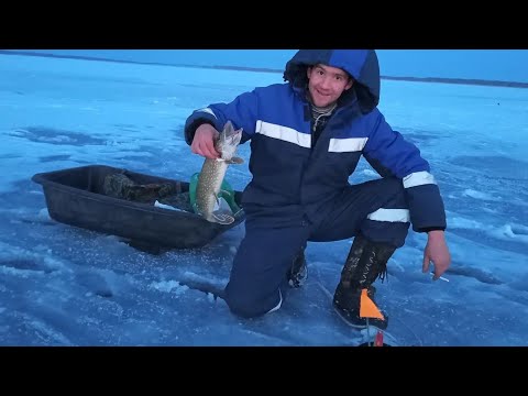 Видео: Рыбалка. Щука На Жерлицы. Здорово Время Провели. Озеро Тептярги. Челябинская область