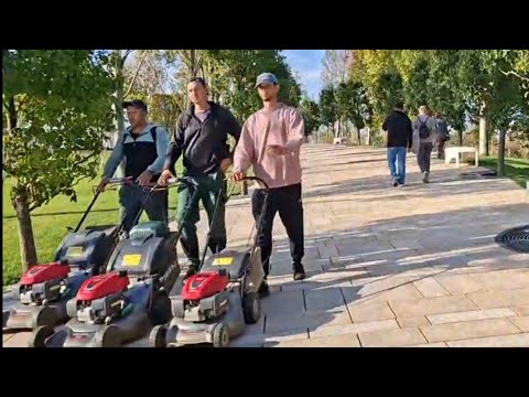 Видео: Интересное предложение по вакансии, НО не всё так просто, как кажется! 