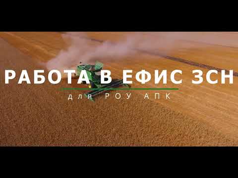 Видео: Общая инструкция по ЕФИС ЗСН для РОУАПК
