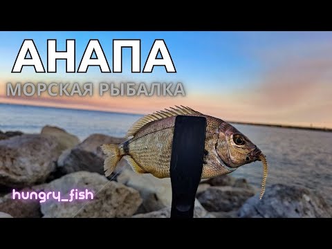 Видео: ЛОВЛЮ НА МОРЕ🎣🐟