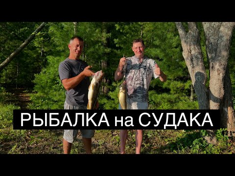 Видео: ВЫЕХАЛИ на Клыкастого 🎣Три Ночи в ТАЙГЕ🏕️Обзор Дома на Колесах
