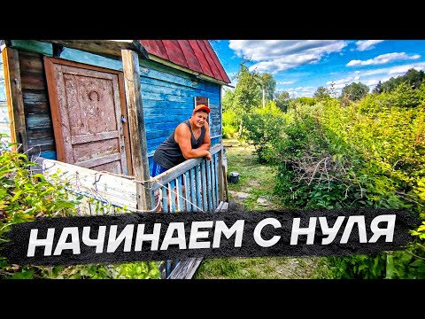 Видео: Купили новый участок, осваиваем заросшие земли