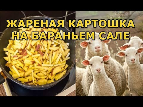 Видео: Жареная картошка на бараньем сале