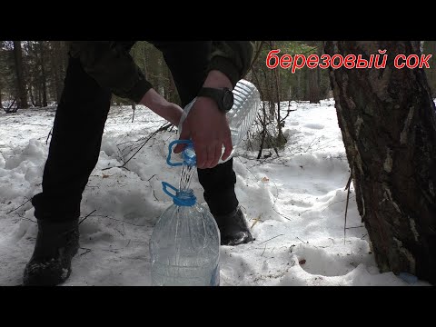 Видео: БЕРЁЗОВЫЙ СОК ПОШЁЛ! ХОТ-ДОГ НА КОСТРЕ ЧТО-ТО НЕ ЗАДАЛСЯ! всё из за пальца(концовка неудачные кадры)