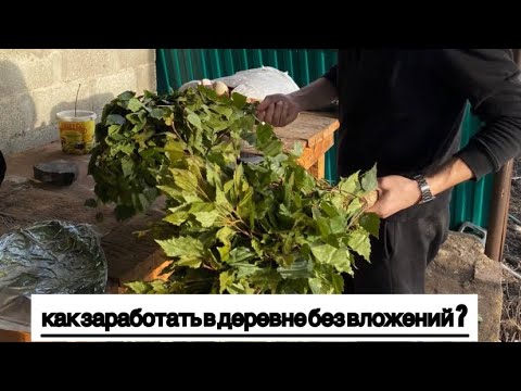 Видео: Как заработать в деревне без вложений?Делаем веники для бани
