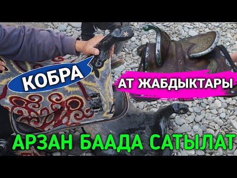 Видео: Ат жабдыктары сатылат көрүп билип алыңыздар.+996778955151
