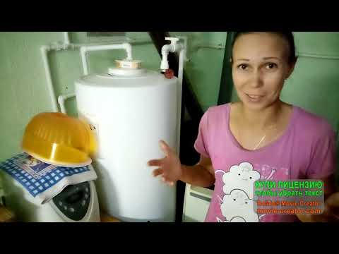 Видео: Натуральный шампунь из подсолнечного масла.