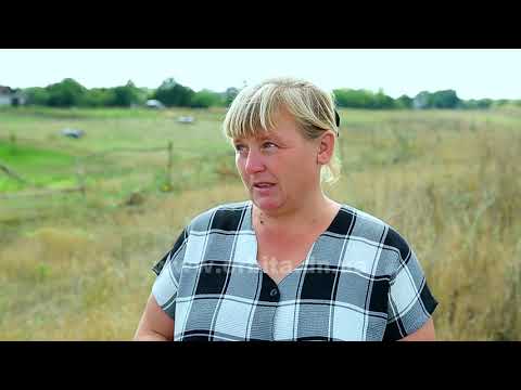 Видео: Джерела (с. Нововасилівка) 10.10.2017 (HD)