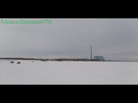 Видео: Рыбалка на Шарыповской ГРЭС