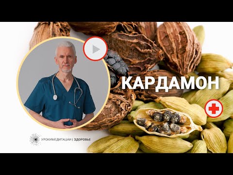 Видео: КАРДАМОН: раскрываем секреты